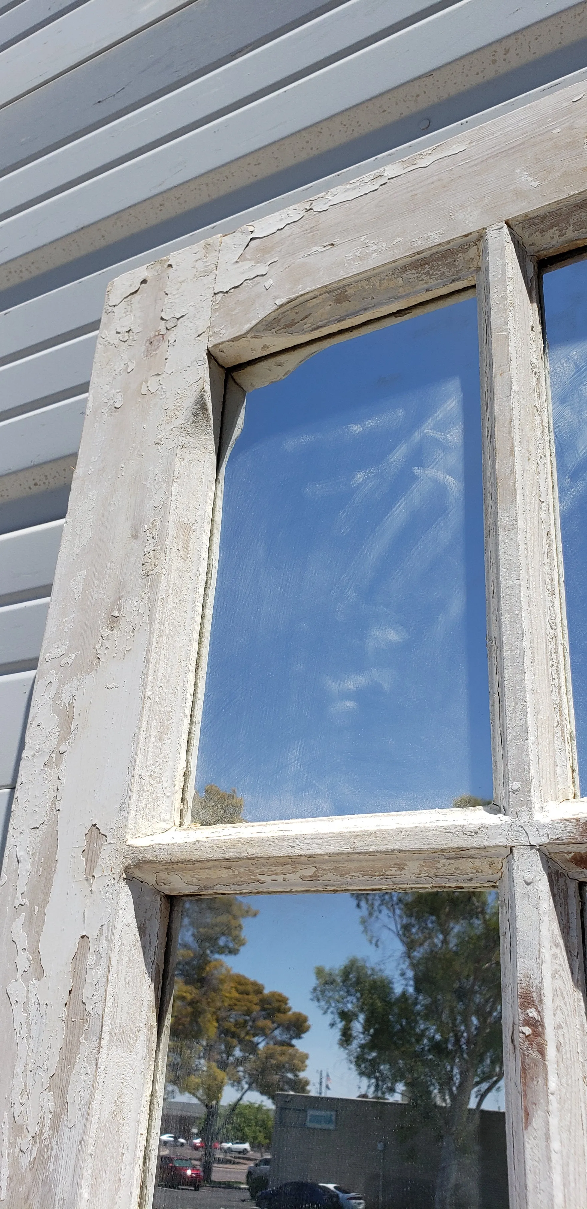 15 Pane Double-Sided Mirrored Single Antique Door